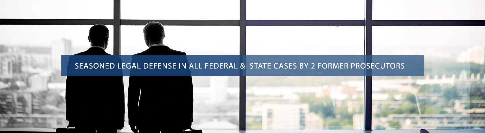 Federal State Criminal Defense LA